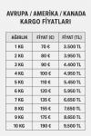 UPS / FEDEX Yurtdışı Kargo 0-4 KG