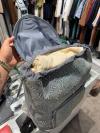 Louis Vuitton Backpack